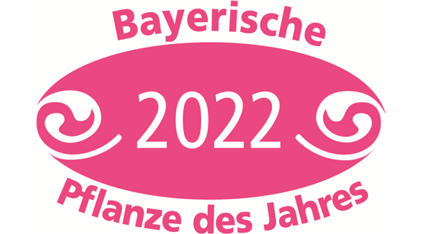 pdj_2022_logo_ei_jpg.jpg