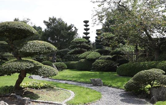 Gartengestaltung - Japan Garten (thumbnail)