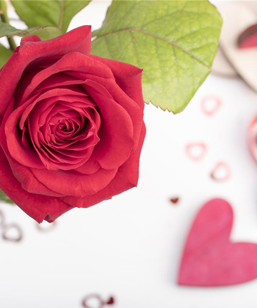 Der Valentinstag und seine Geschichte