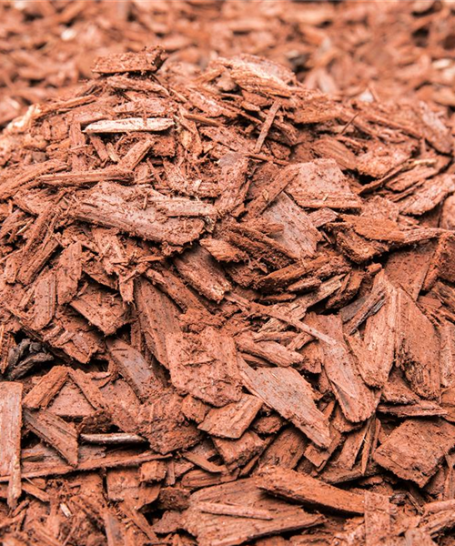 Der Mulch macht’s Der Mulch macht’s