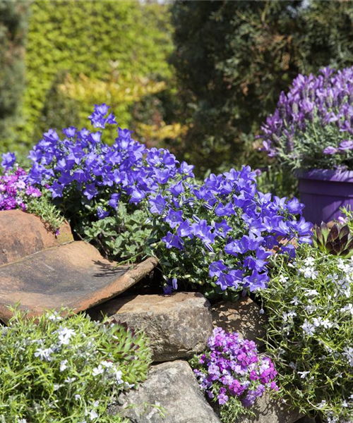 Gartenarbeiten im Mai