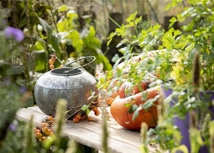 Gartenservice