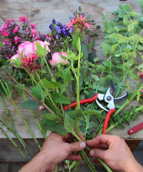 Fachkraft für Floristik gesucht (m/w/d) Fachkraft für Floristik gesucht (m/w/d)