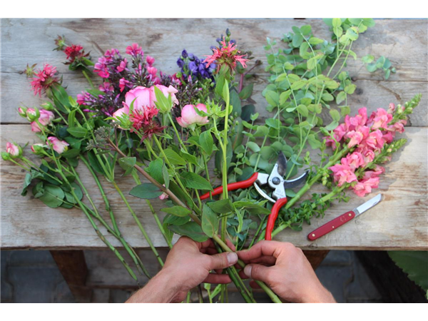 Fachkraft für Floristik gesucht (m/w/d)