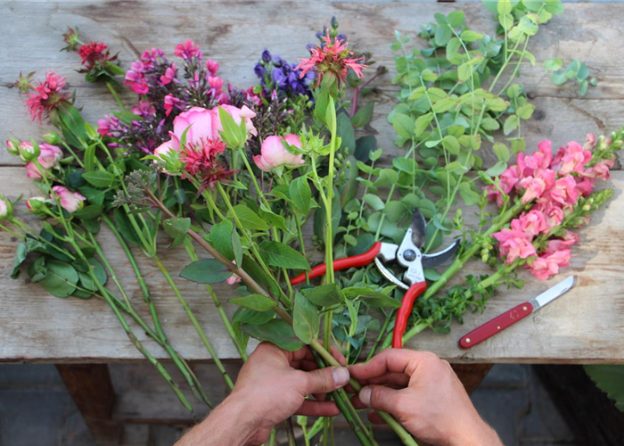 Fachkraft für Floristik gesucht (m/w/d)