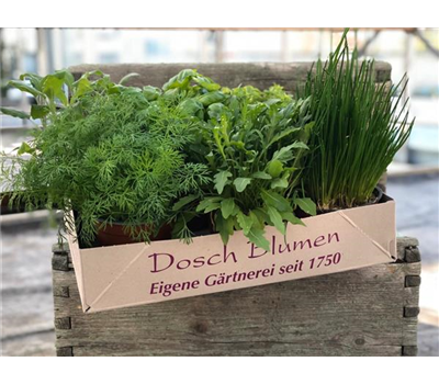 Kräuter Mix Kräuter Mix