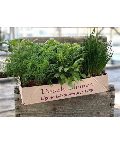 Kräuter Mix Kräuter Mix