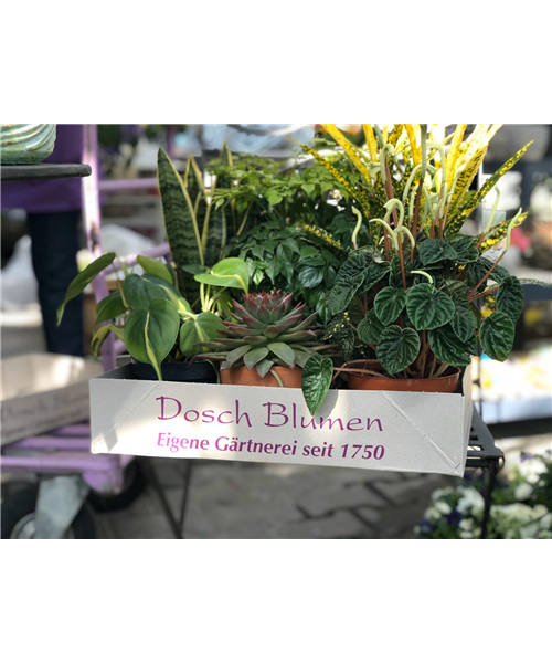 Portion frische Raumluft Portion frische Raumluft