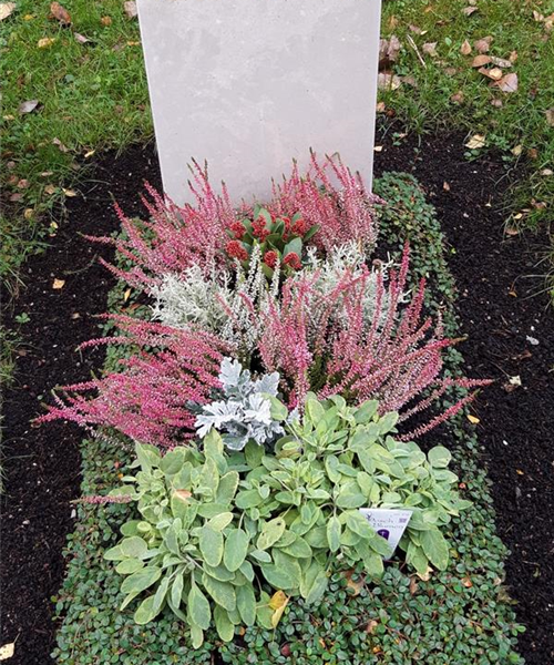 Urnengrab mit 3x Bepflanzung Urnengrab mit 3x Bepflanzung