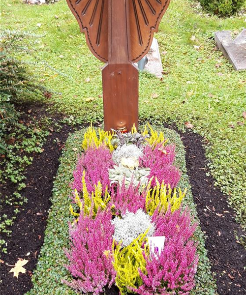 Einzelgrab mit 3x Bepflanzung Einzelgrab mit 3x Bepflanzung