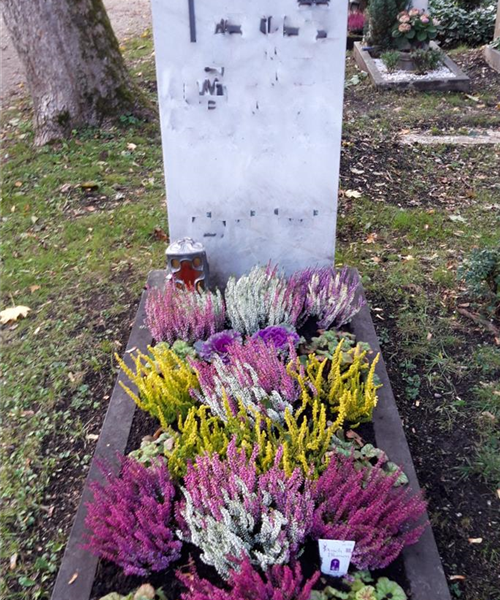 Einzelgrab Steineinfassung Einzelgrab Steineinfassung