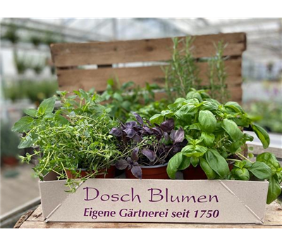 Pizza und Pasta Kiste