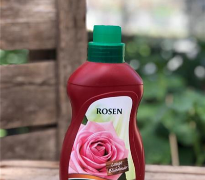 Rosen Dünger