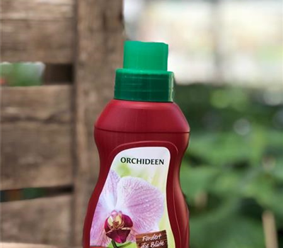 Orchideen Dünger 