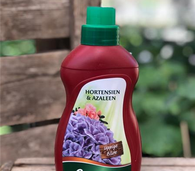 Hortensien und Azaleen Dünger