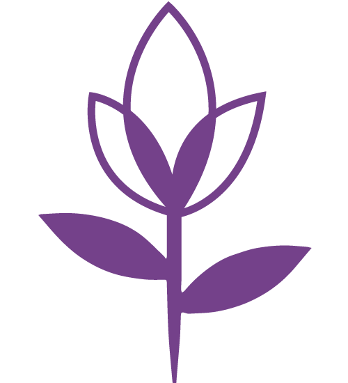 Blumenfachgeschäft Blumenfachgeschäft