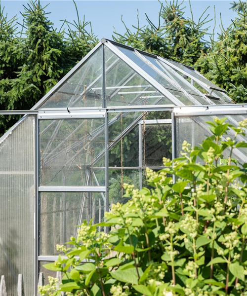 Ein Gewächshaus anlegen