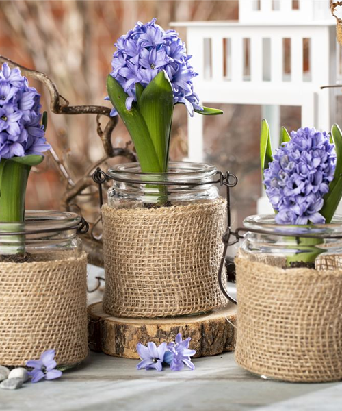 Frühling vor der Haustür – Zeit für Dekoration