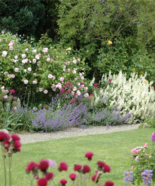 Aller Anfang ist (nicht) schwer - der erste eigene Garten
