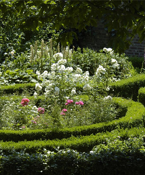 Cottage Garden: Englisches Flair im eigenen Garten