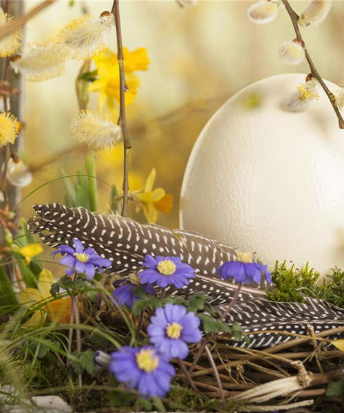 Das Garten-Paradies für Osterhase und Co.