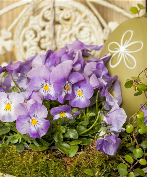 Ein buntes Osterfest mit den passenden Frühlingsboten