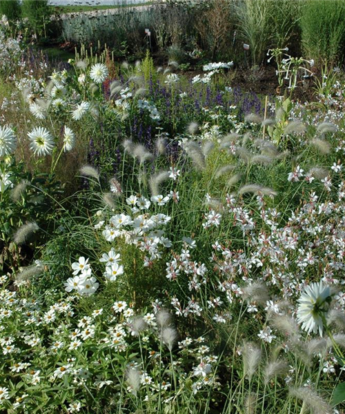 Ganz in Weiß – elegante Gartengestaltung mit Stil