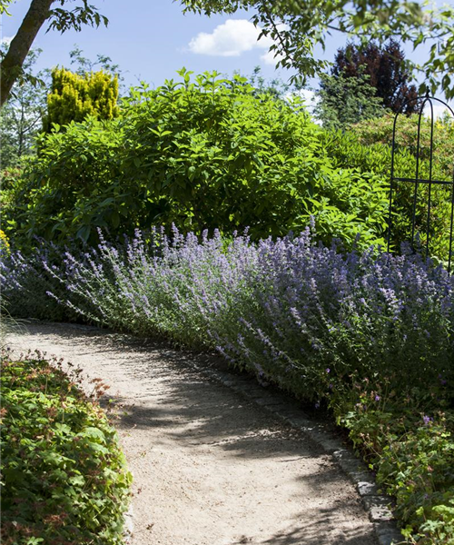 Sie sind bewegend! Wege, die durch den Garten führen.