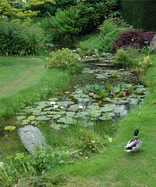 Der Bachlauf im Garten – Wasser bringt Ruhe und Erholung