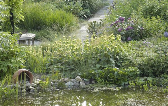 Der Naturgarten - Ausgleich zum Arbeitsalltag Der Naturgarten - Ausgleich zum Arbeitsalltag