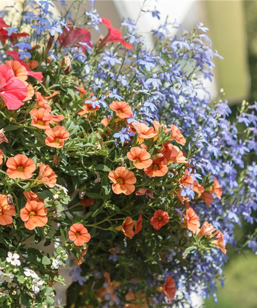 Urban Gardening – Blumenampel aus Konservendosen