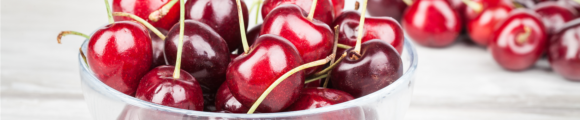 Prunus avium Prunus avium