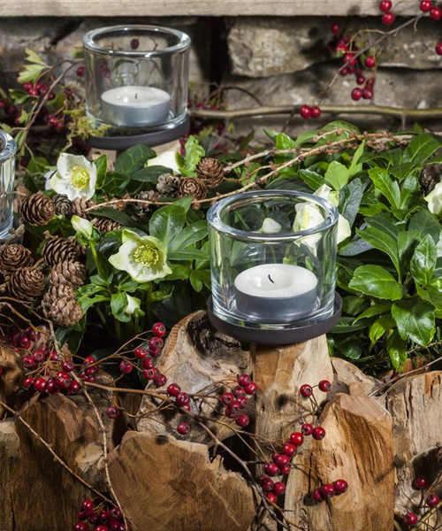 Adventskranz gestalten