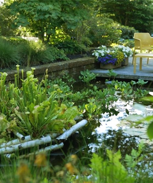 Gartengestaltung - Waldgarten Gartengestaltung - Waldgarten