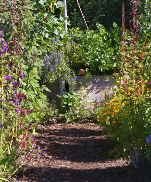 Gartengestaltung - Bauerngarten Gartengestaltung - Bauerngarten