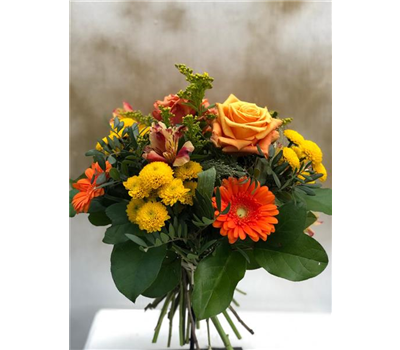 Sonnenstrahlen Sonnenstrahlen