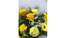 Yellow Dream