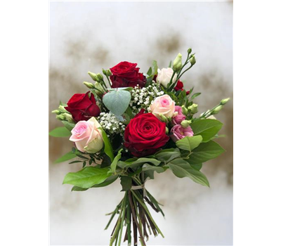 I love you I love you