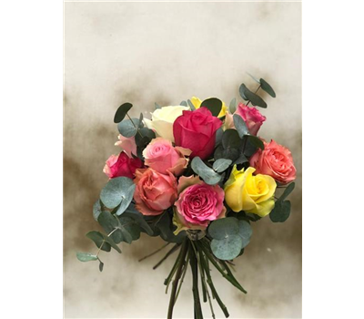 Rosenliebling Rosenliebling