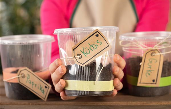 Mini-Gewächshaus – mit Plastik etwas Gutes tun Mini-Gewächshaus – mit Plastik etwas Gutes tun