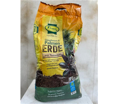 Grünpflanzen und Palmenerde