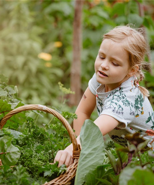 Jetzt kann geerntet werden! Kinder spielerisch einbeziehen