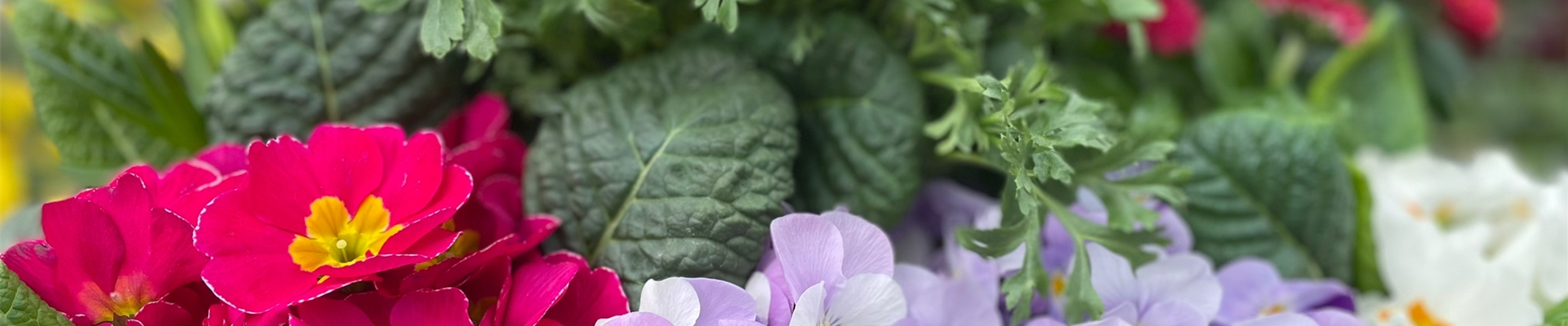 16e641c0-fe9c-46ec-bba4-5e0979f01992