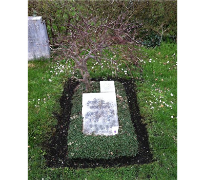 Liegestein ohne Bepflanzung Liegestein ohne Bepflanzung