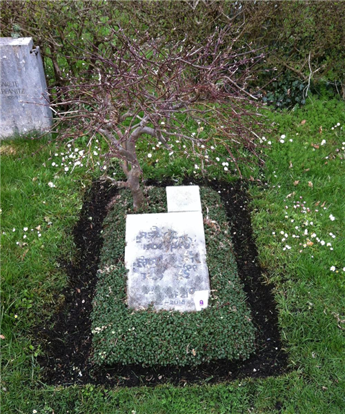 Liegestein ohne Bepflanzung Liegestein ohne Bepflanzung