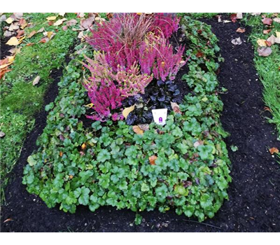 Gründecke zu 2/3 Gründecke zu 2/3