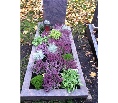 Steineinfassung Steineinfassung