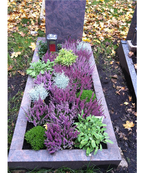 Steineinfassung Steineinfassung