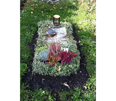 Liegestein mit Bepflanzung Liegestein mit Bepflanzung