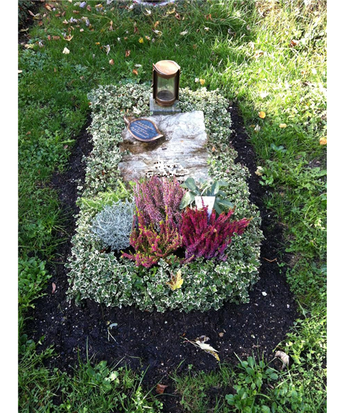 Liegestein mit Bepflanzung Liegestein mit Bepflanzung